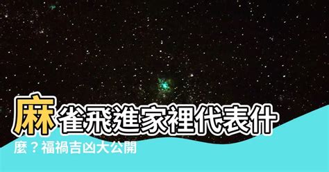 麻雀飛進家裡代表什麼|【麻雀飛進家裏】麻雀報喜！麻雀飛進家裡就代表好事降臨？